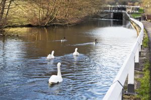 apperly bridge 3 sm.jpg